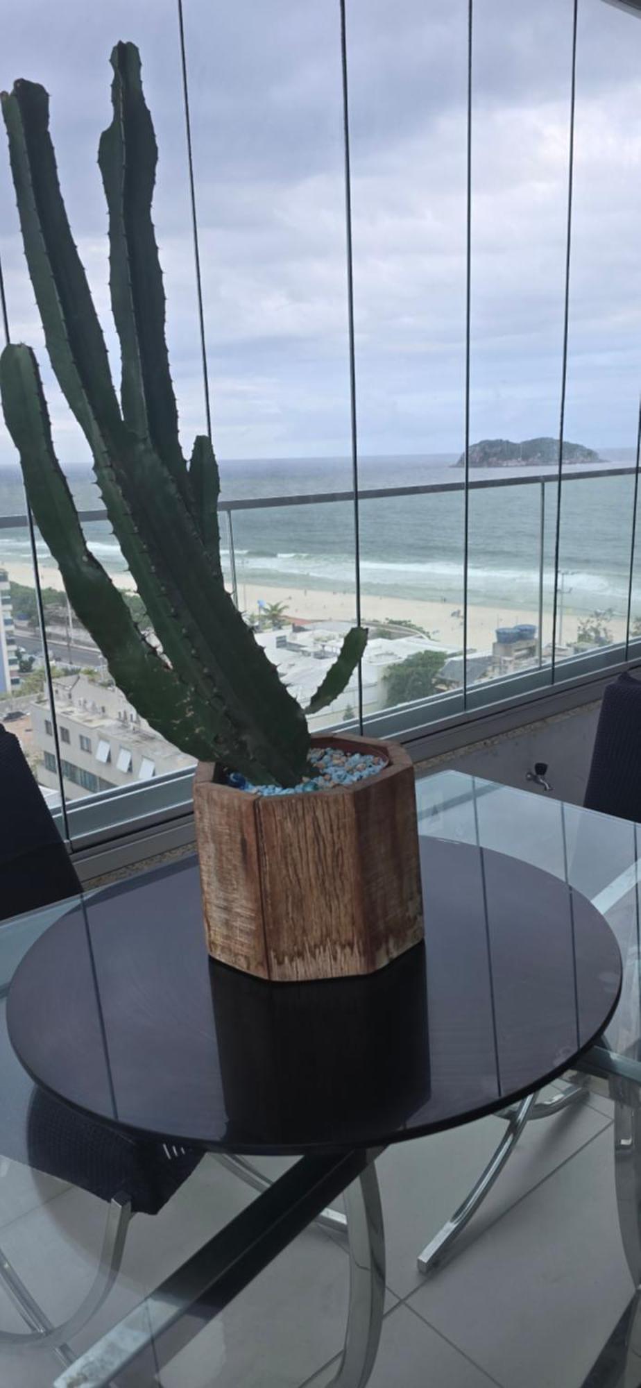 Beira Mar Vista Praia E Montanha 里约热内卢 客房 照片